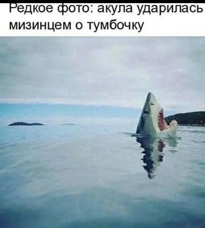 Редкое фото  #2