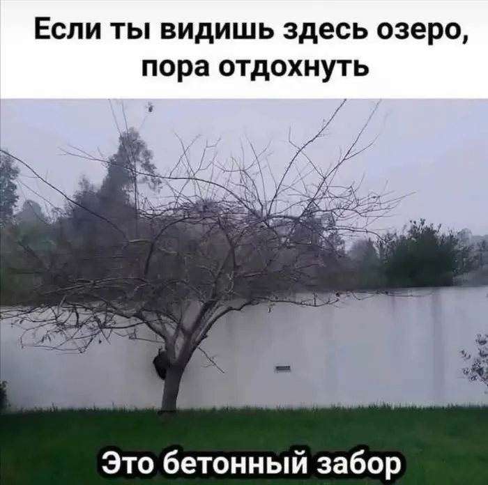 Тест на усталость  #2