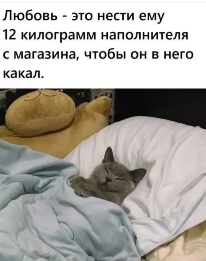 Любовь к домашним животным #2