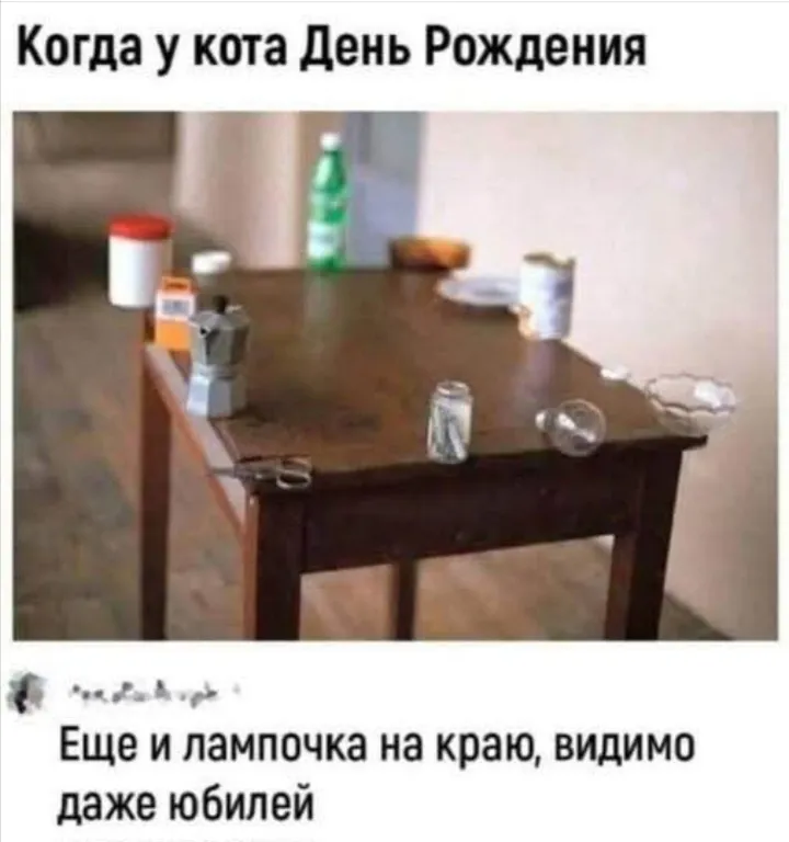 Юмор про котов N1 #2