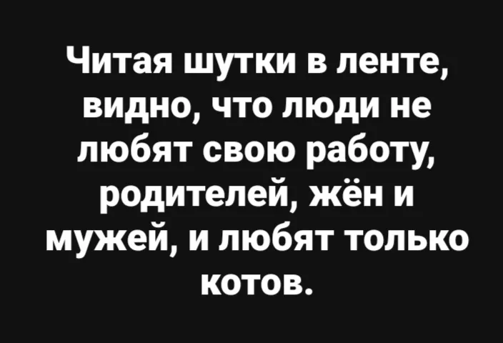 Юмор про котов N3 #2