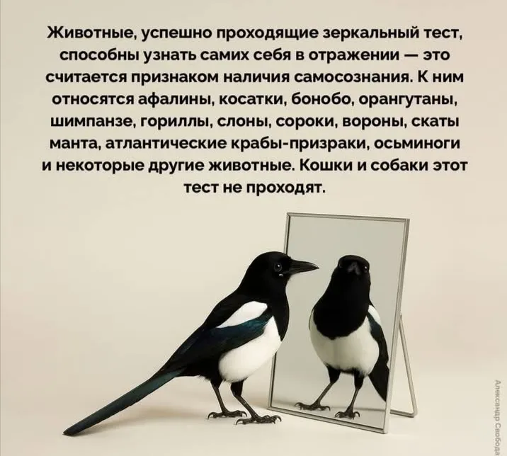 Вы согласны?  #2