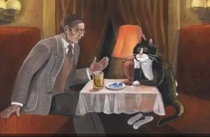 Беседа с котом #2
