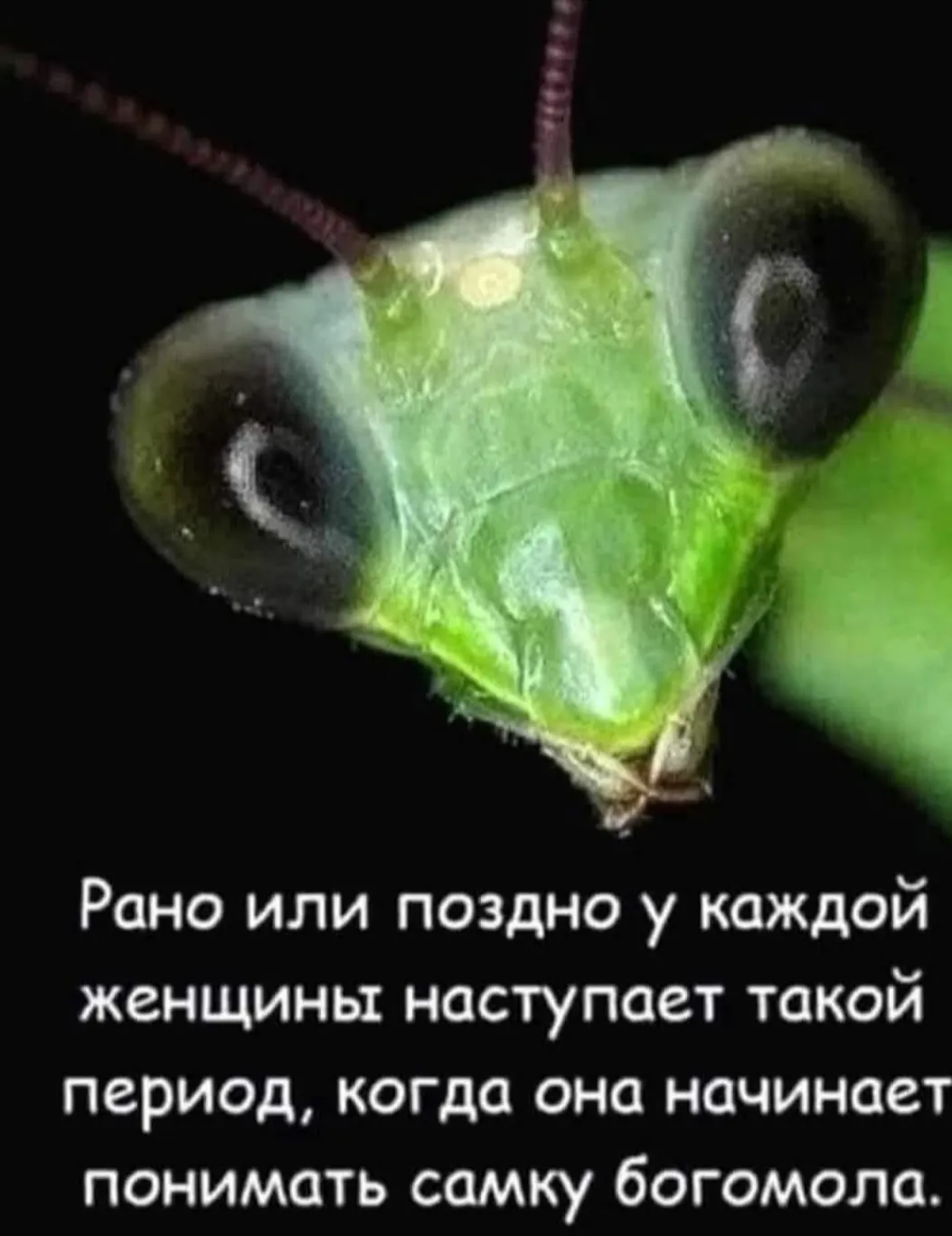 Немного юмора с утра #2