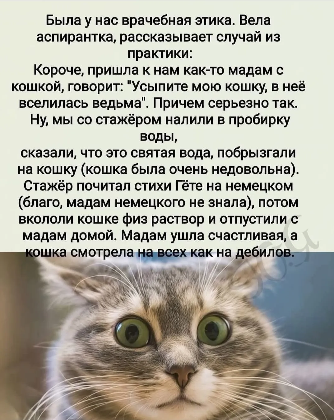 Ей очень повезло #2