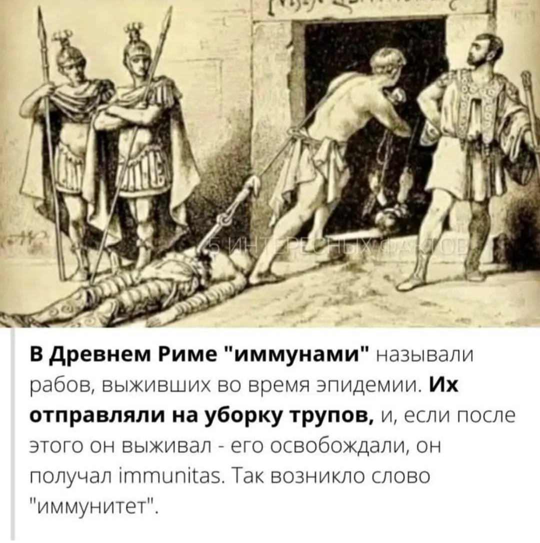 Вам будет интересно это узнать #2