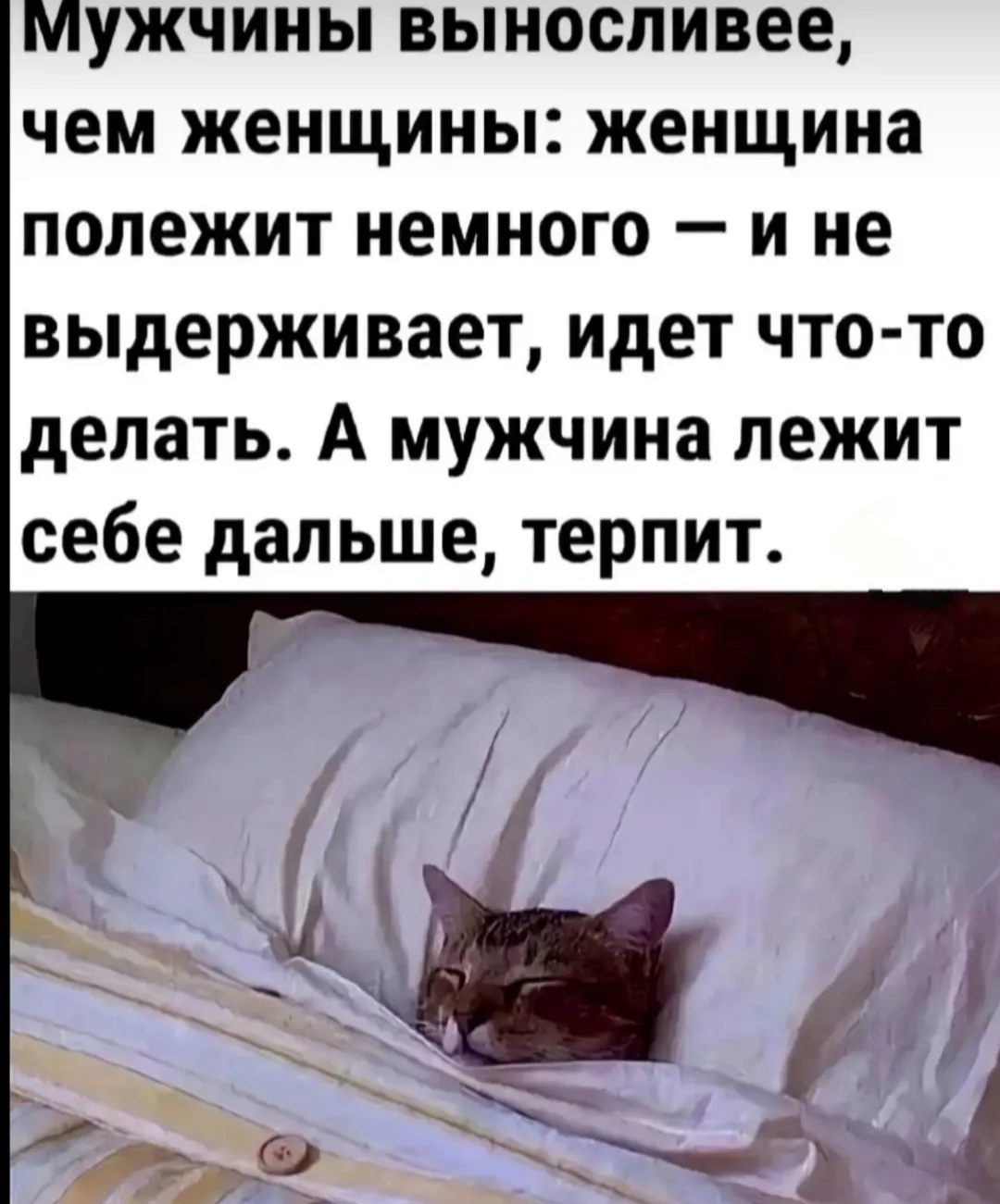С добрым субботним утрышком #2