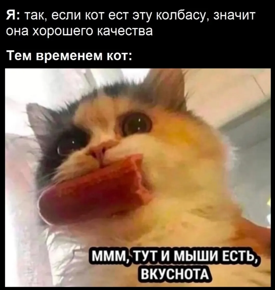 Утренняя подборка  #5
