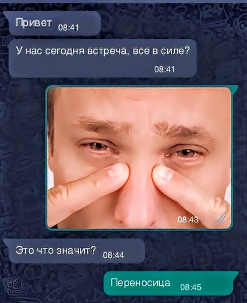Утренняя подборка  #6