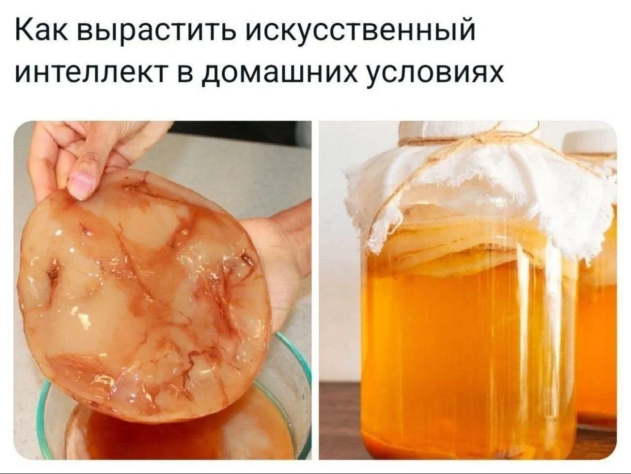 Утренняя подборка  #7