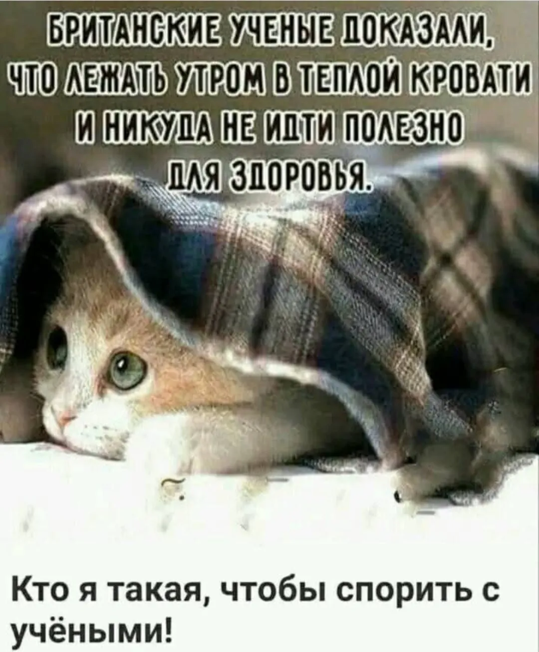 Воспользуйтесь этим советом #2