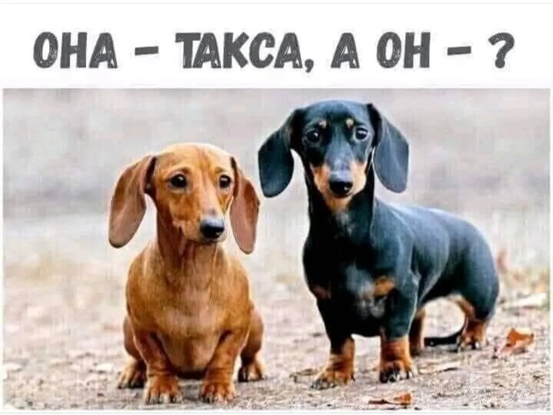 Суббота. Доброго утречка!  #4