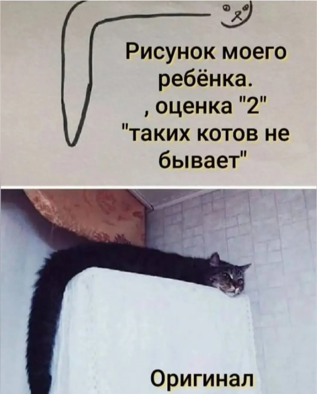 Как обидно, что не оценили по достоинству #1