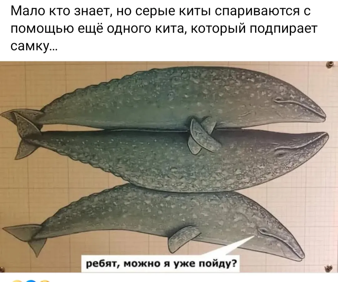 Взаимовыручка китов #1