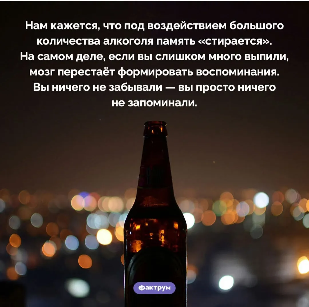 Почему мы ничего не помним после выпитого?  #2