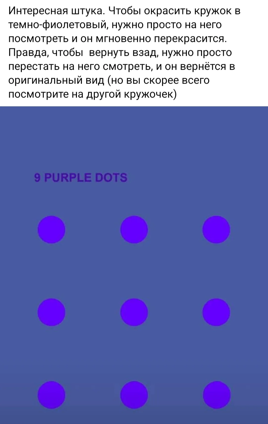 Смотри на кружок #2