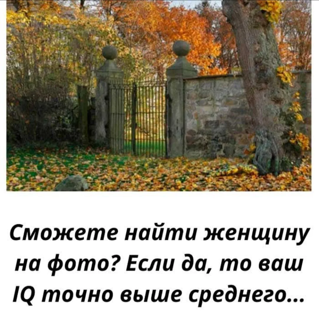 Ищите женщину)  #2