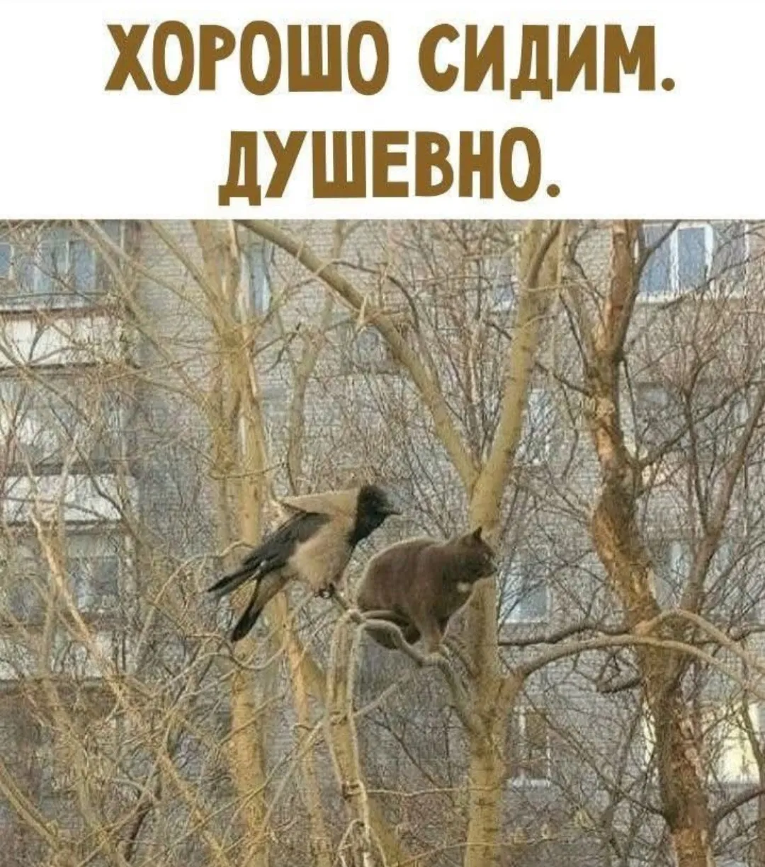 Юмор дня #2