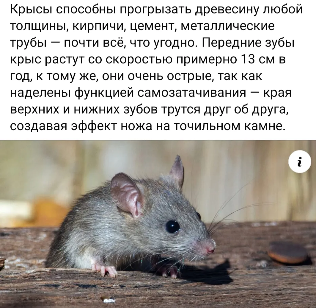 А знаете ли вы?  #2