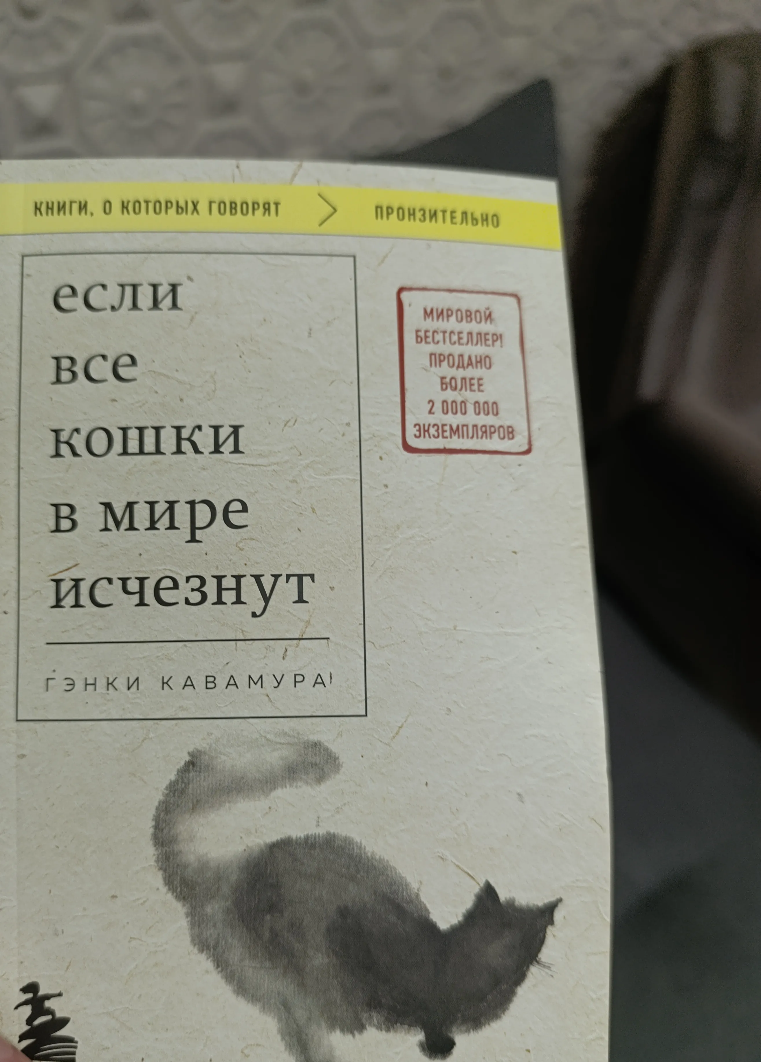 Если все кошки в мире исчезнут #2