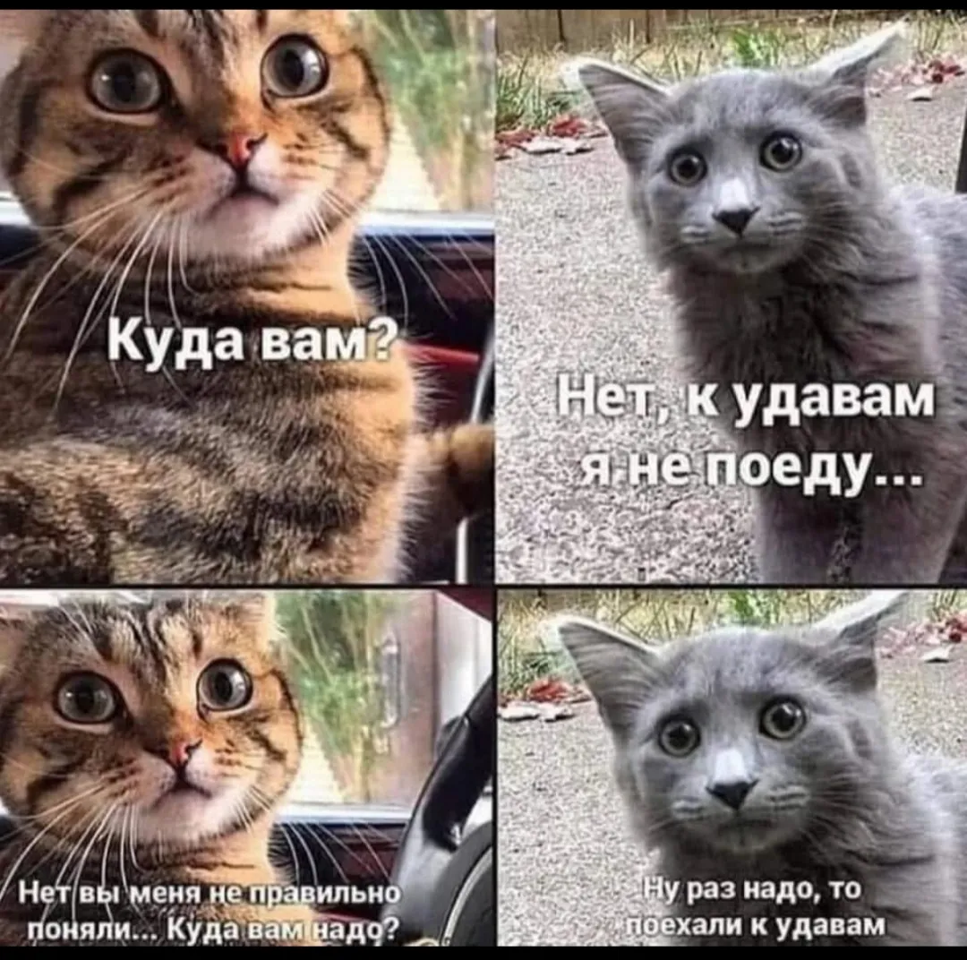 Поехали к удавам #2