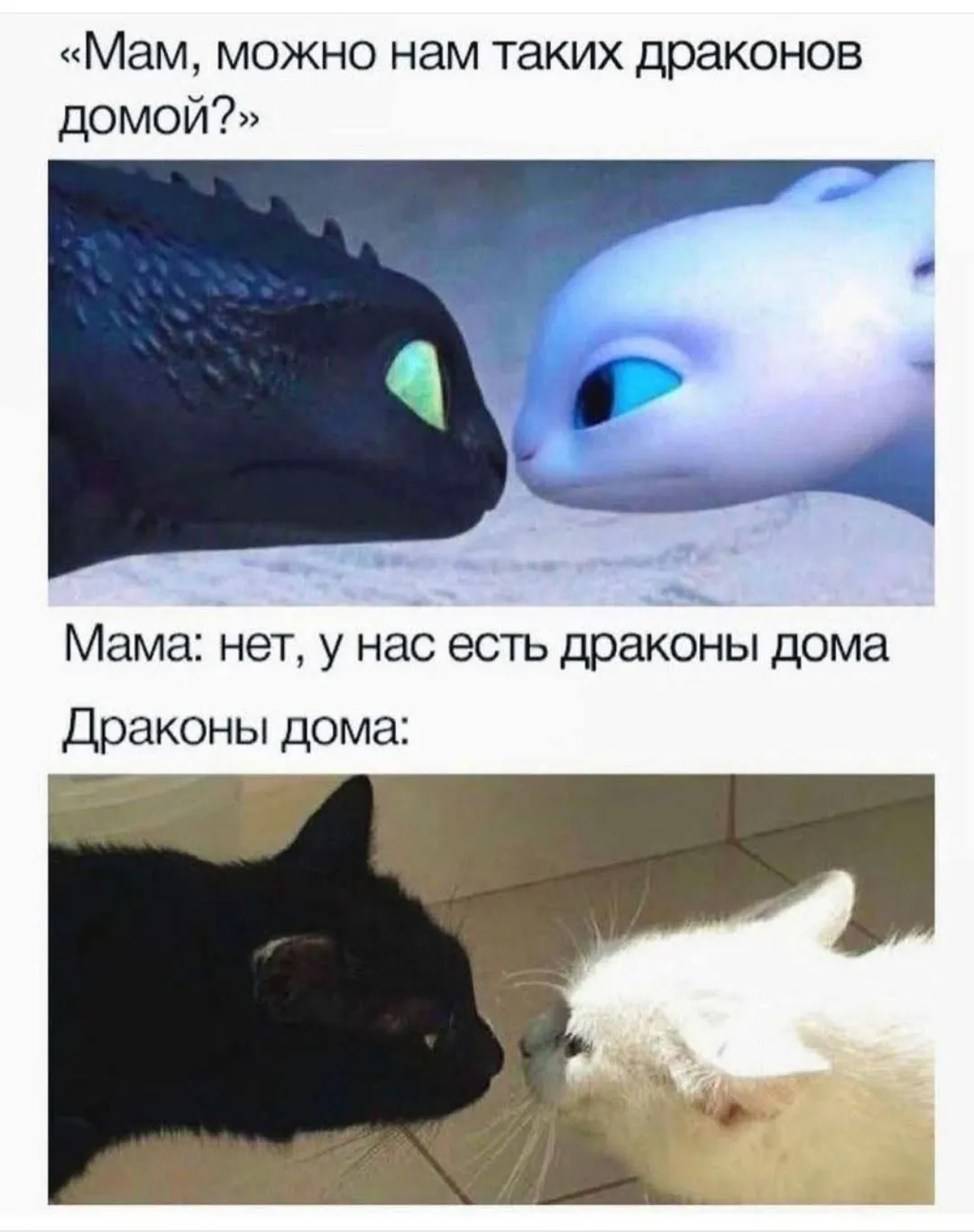 Хочу дракона #2