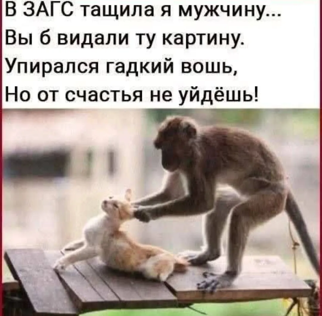 Нередкий случай #2