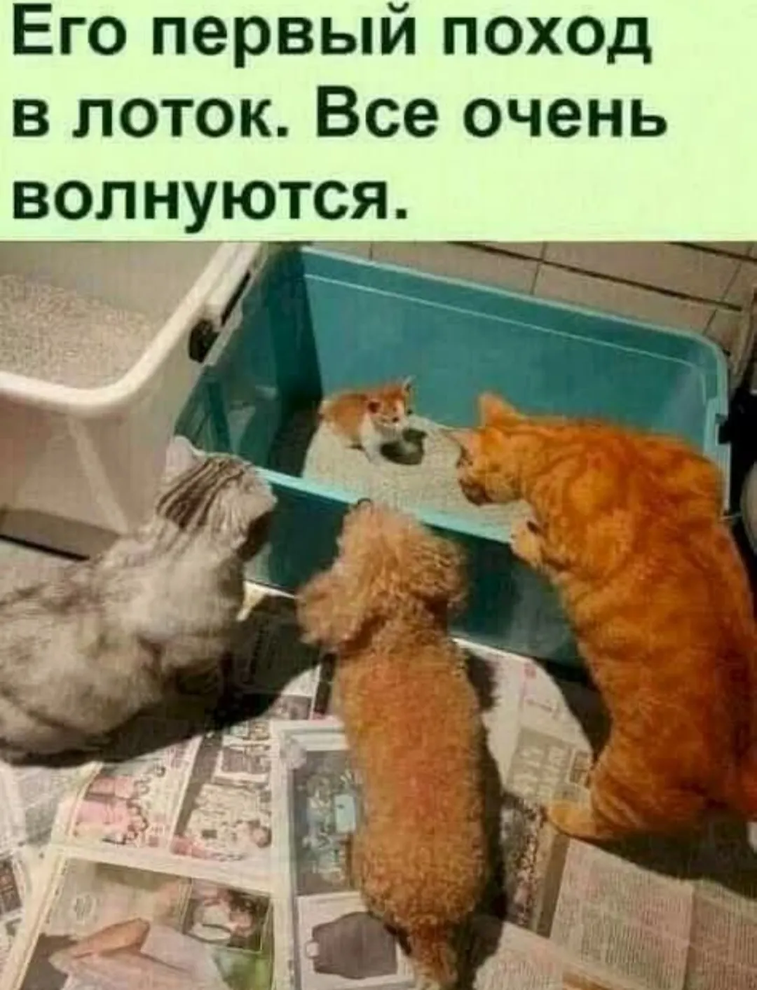 Семейная поддержка #2