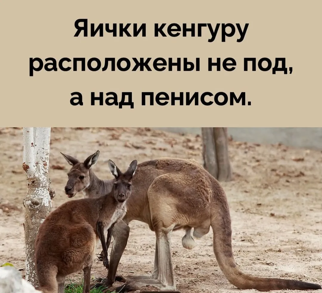 Почему так?  #2