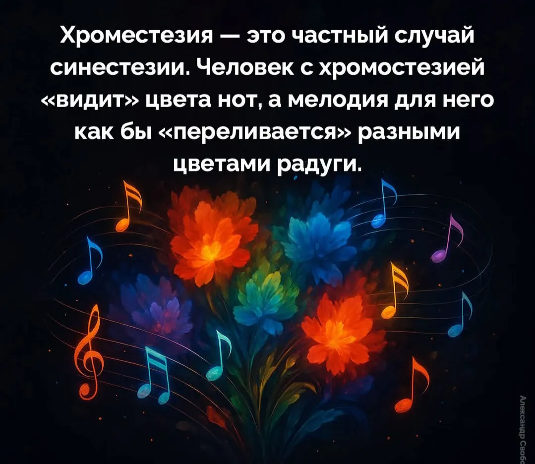 Видел ли музыку Бетховен?  #2