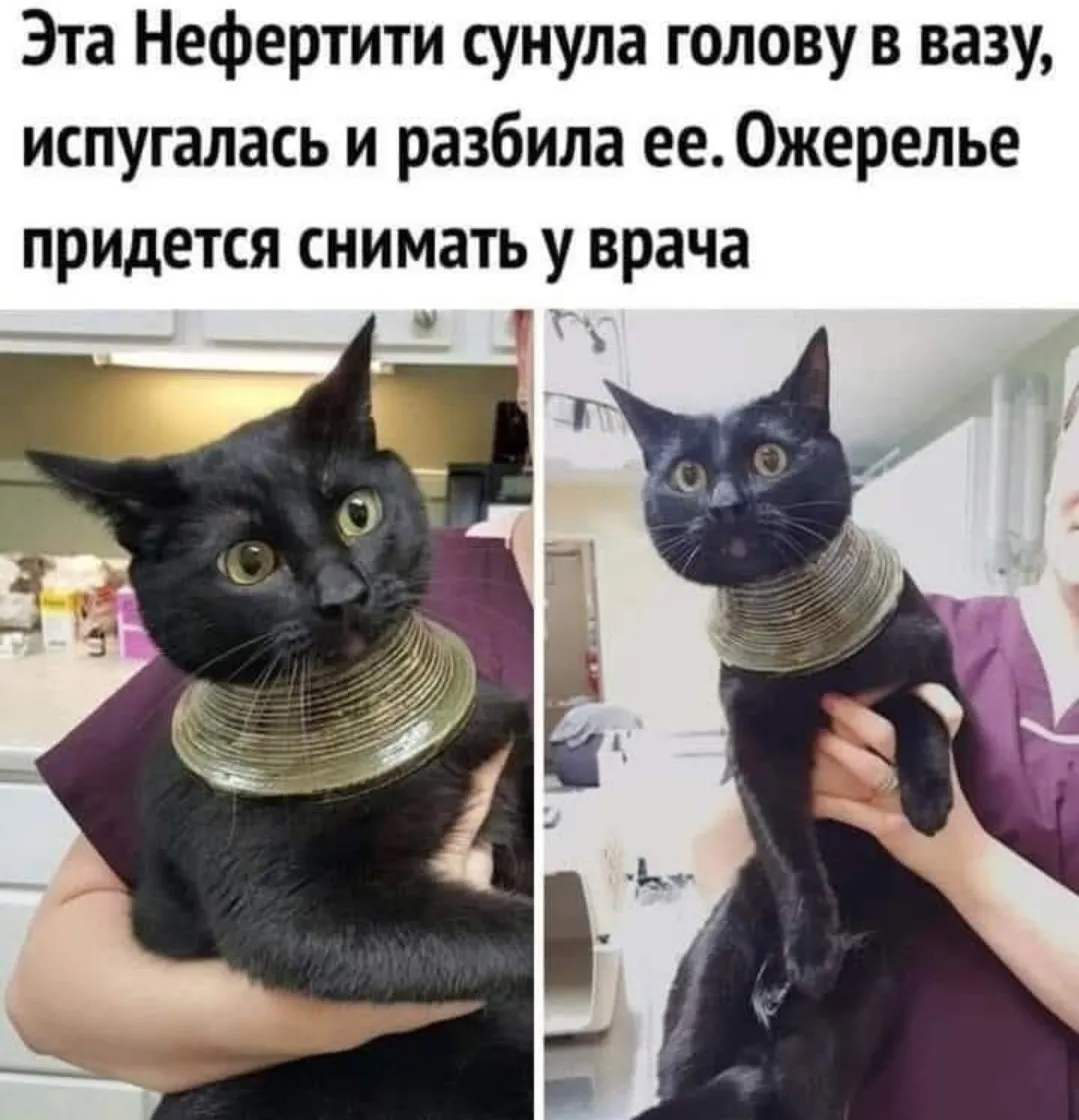 Красоточка че натворила #2