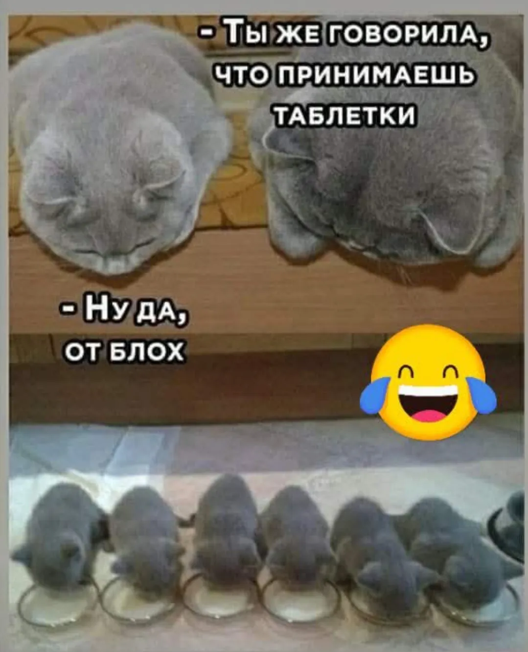 Не верьте женщинам #2