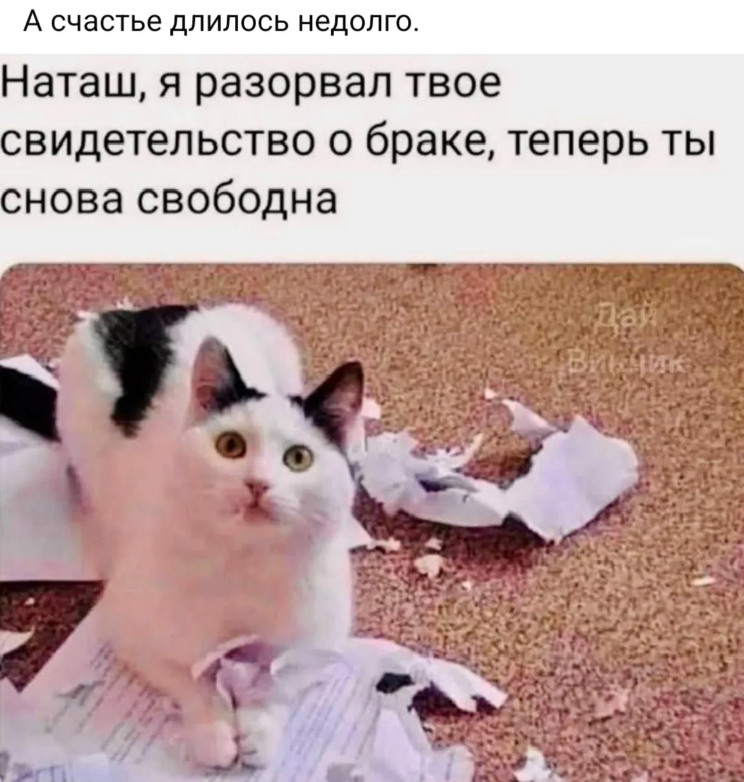 И снова про браки))  #2