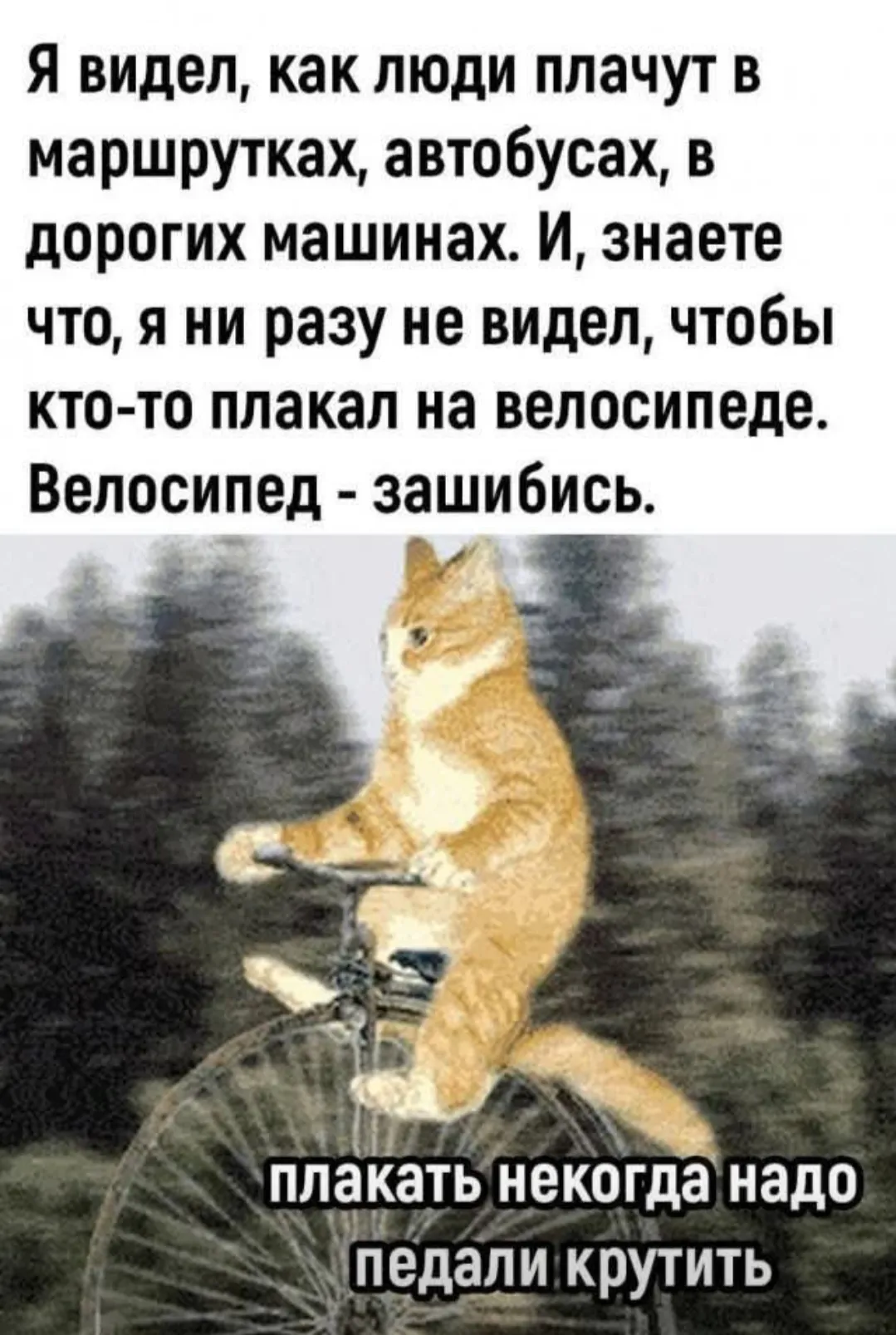 Умная мысль)  #2