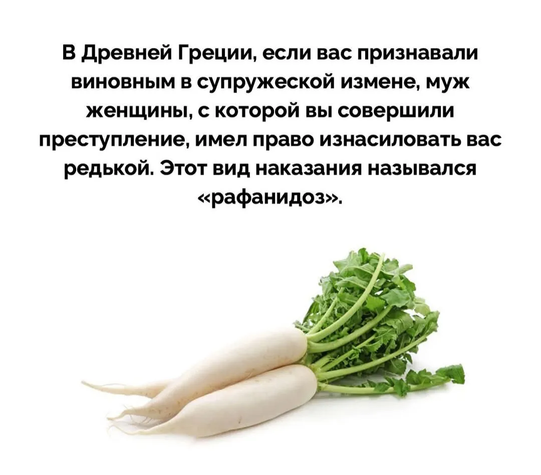 Рафанидоз. Что это такое?  #1