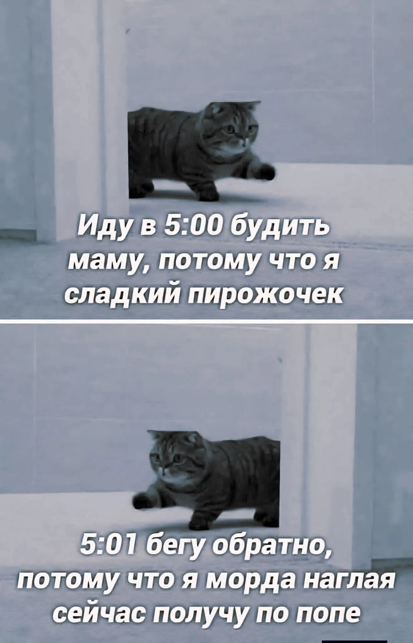 А к вам идет сладкий пирожочек?)  #2