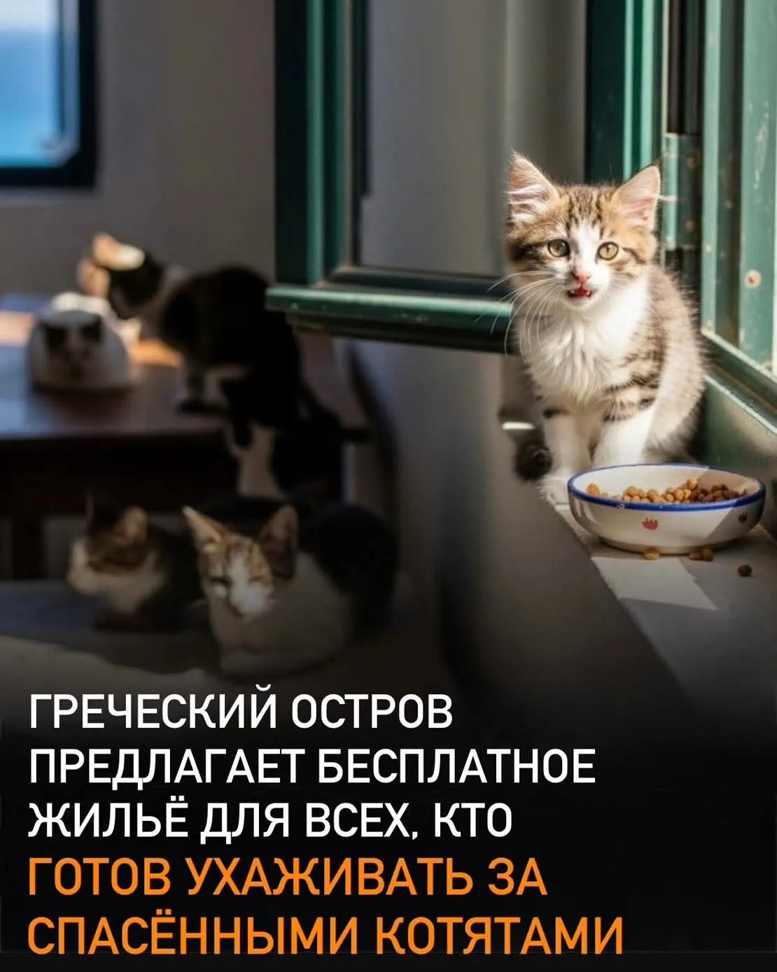 Думаю, это может вам пригодиться #2
