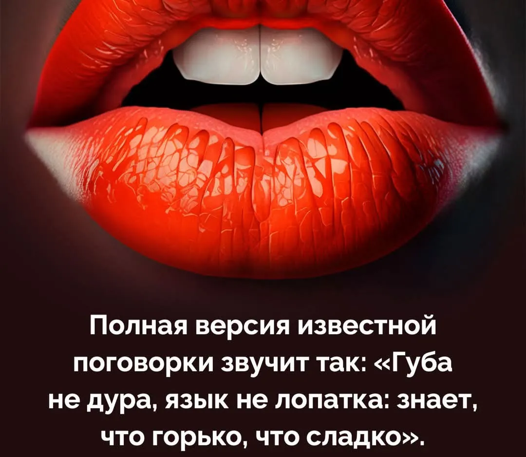Губа не дура...  #2