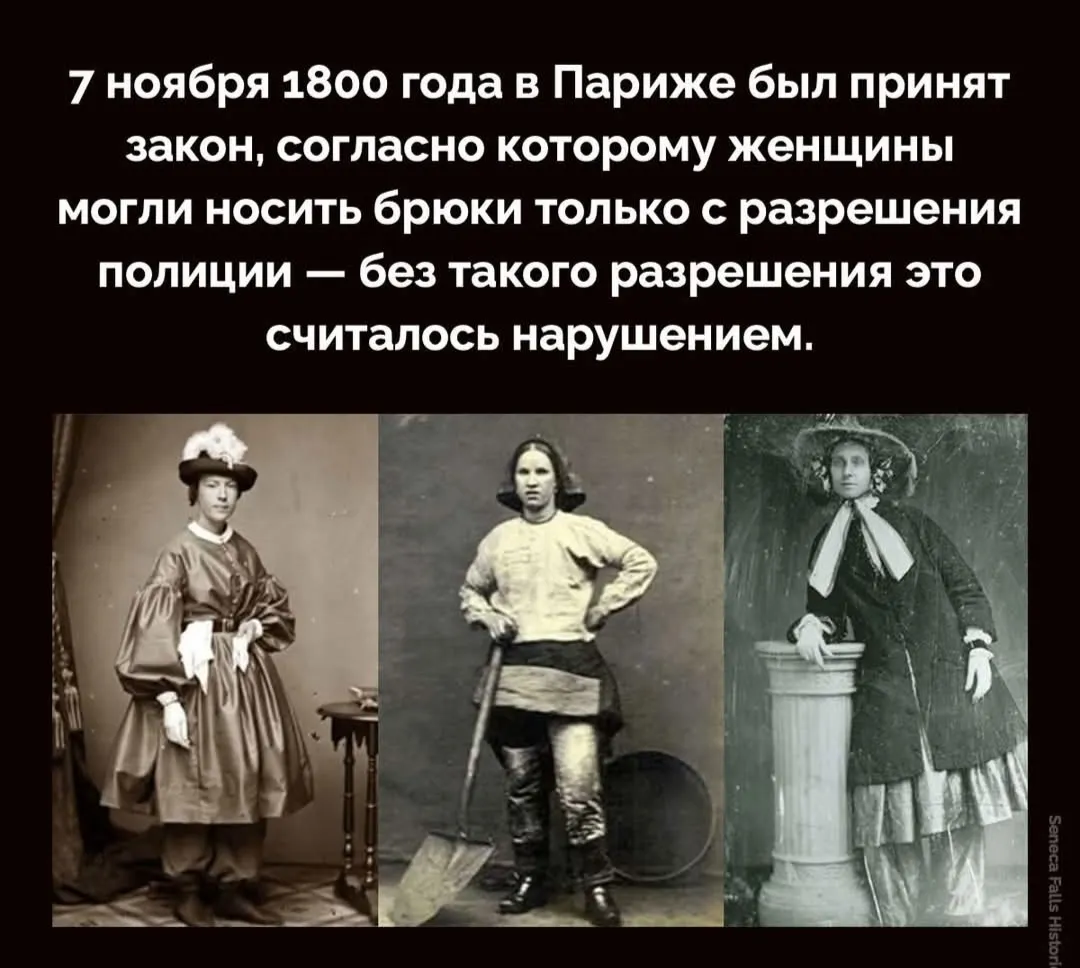 Причем здесь полиция?  #2
