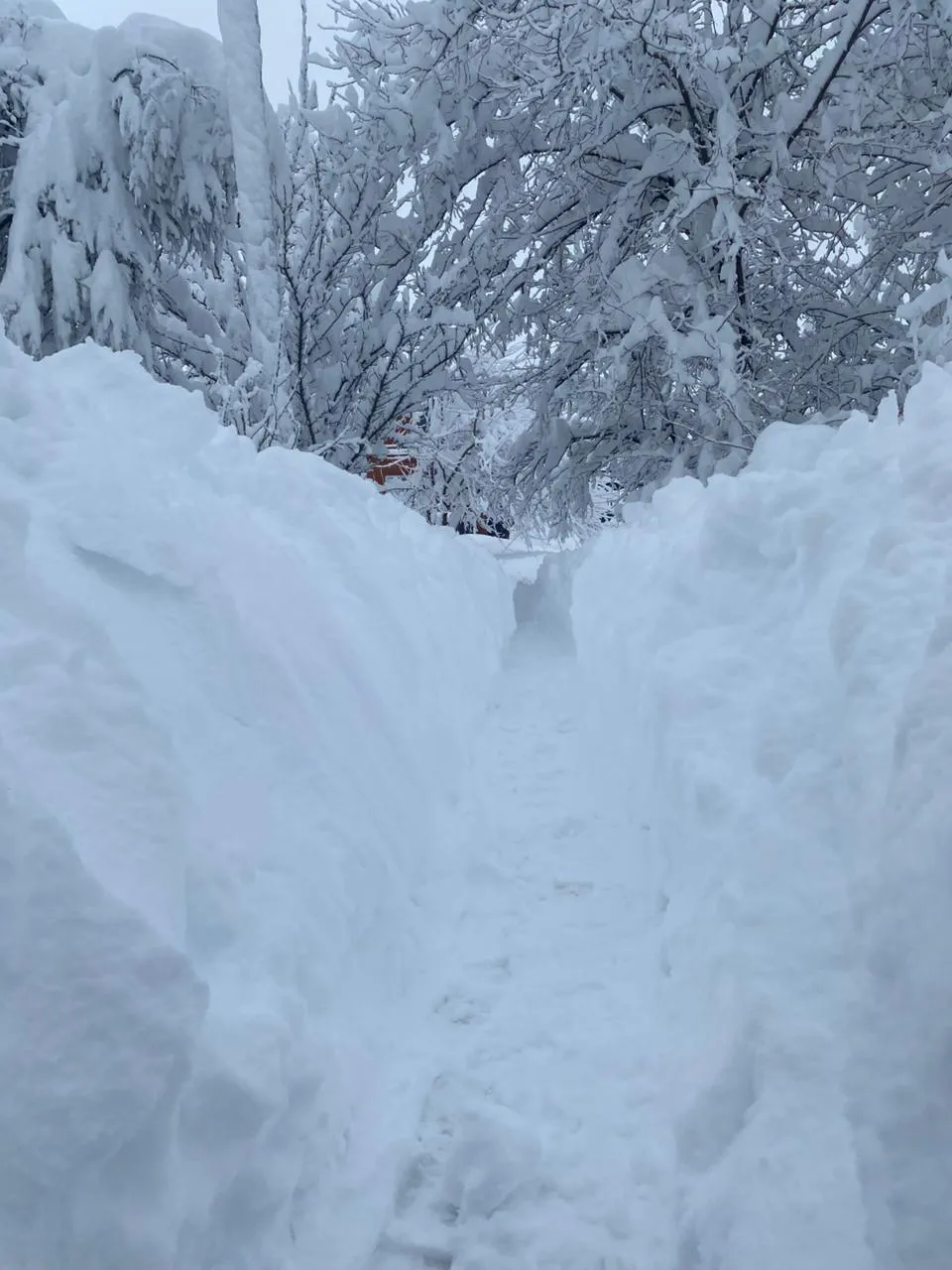 Краснодар