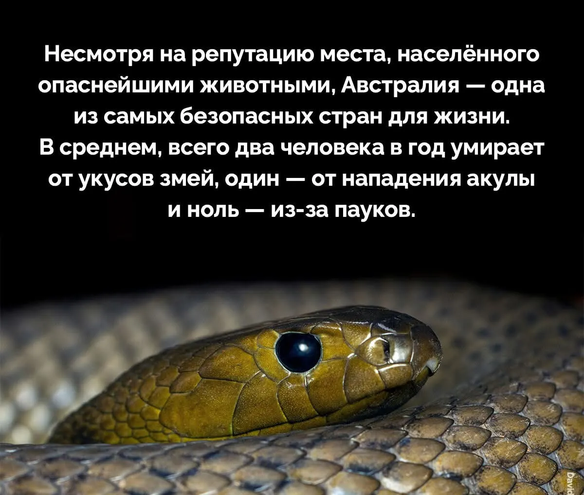 Безопасная страна #2