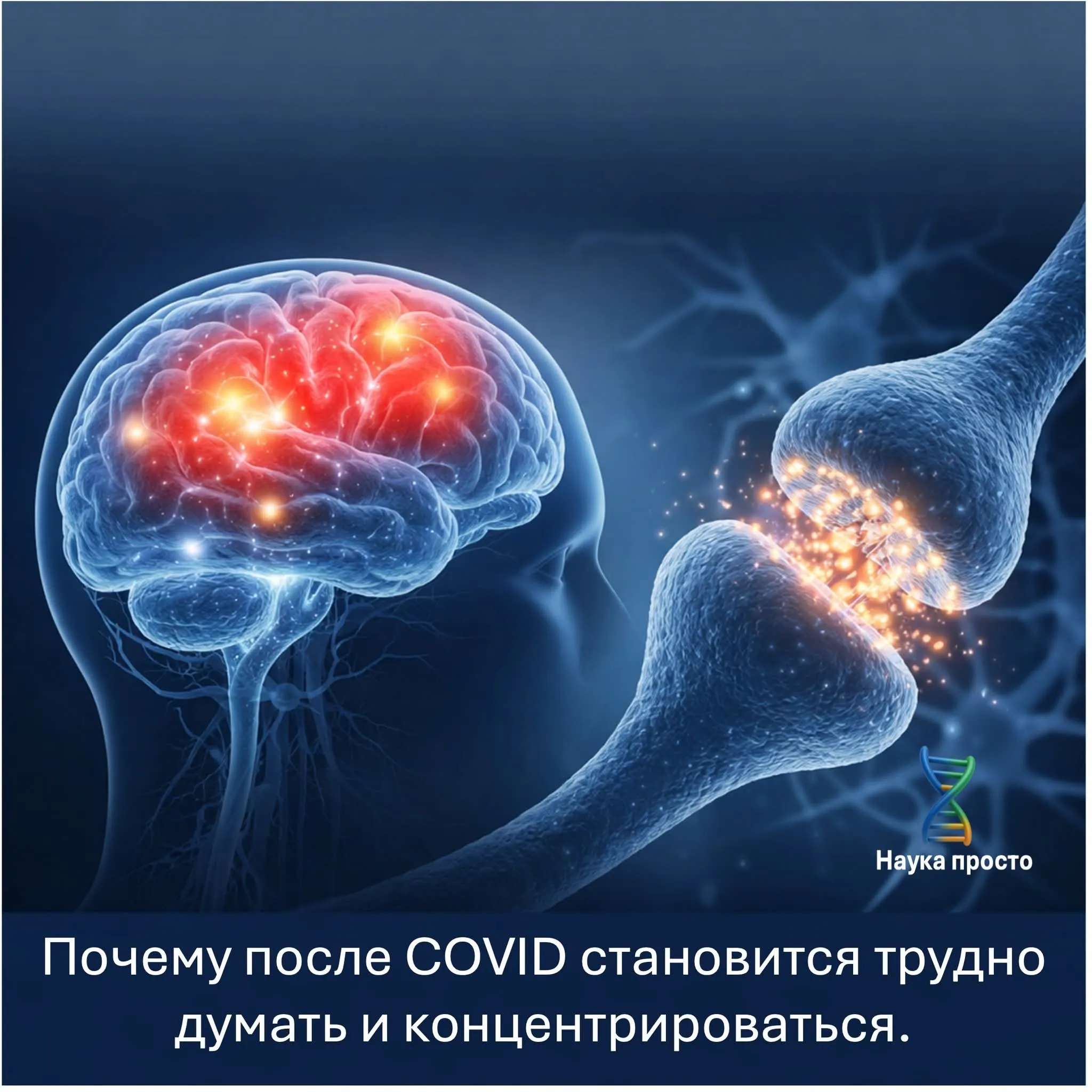 Мозговой туман при Long COVID: доказанное биологическое изменение в мозге #2