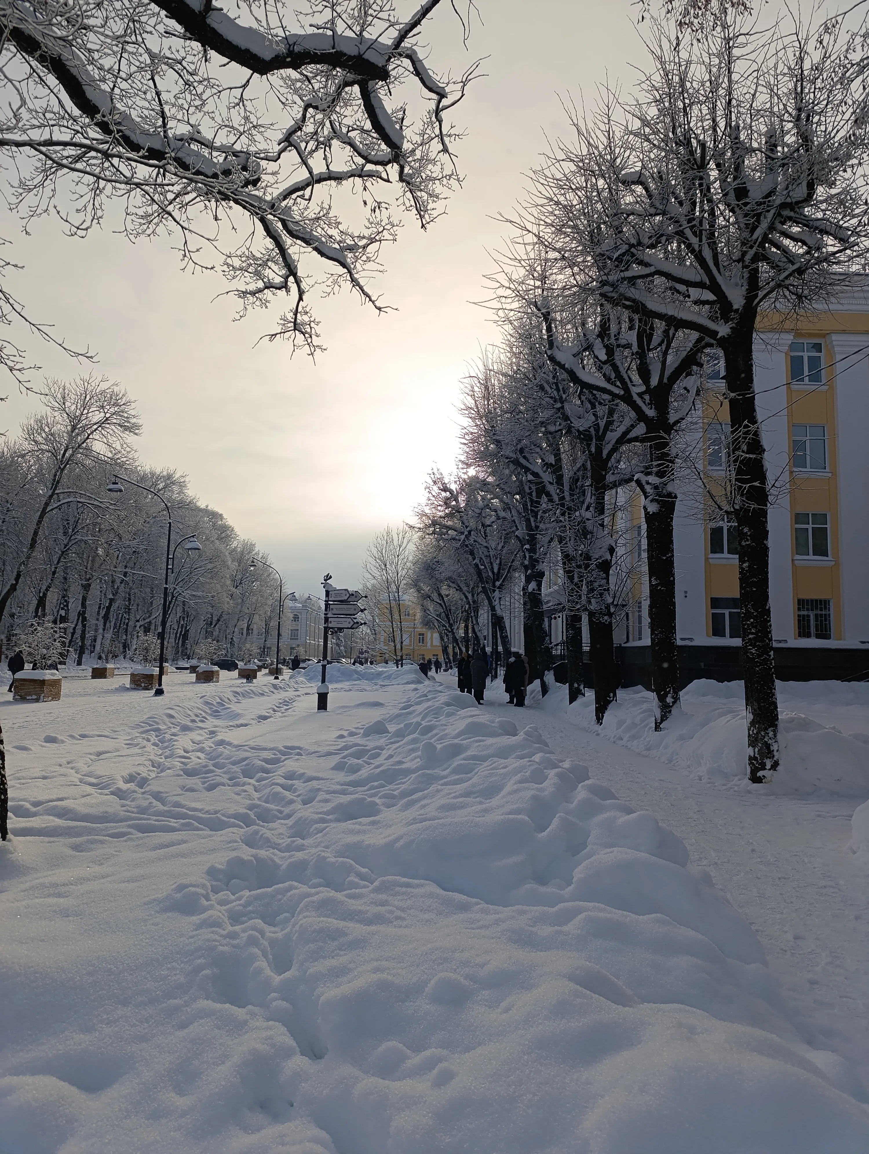 Зима в нашем городе #3