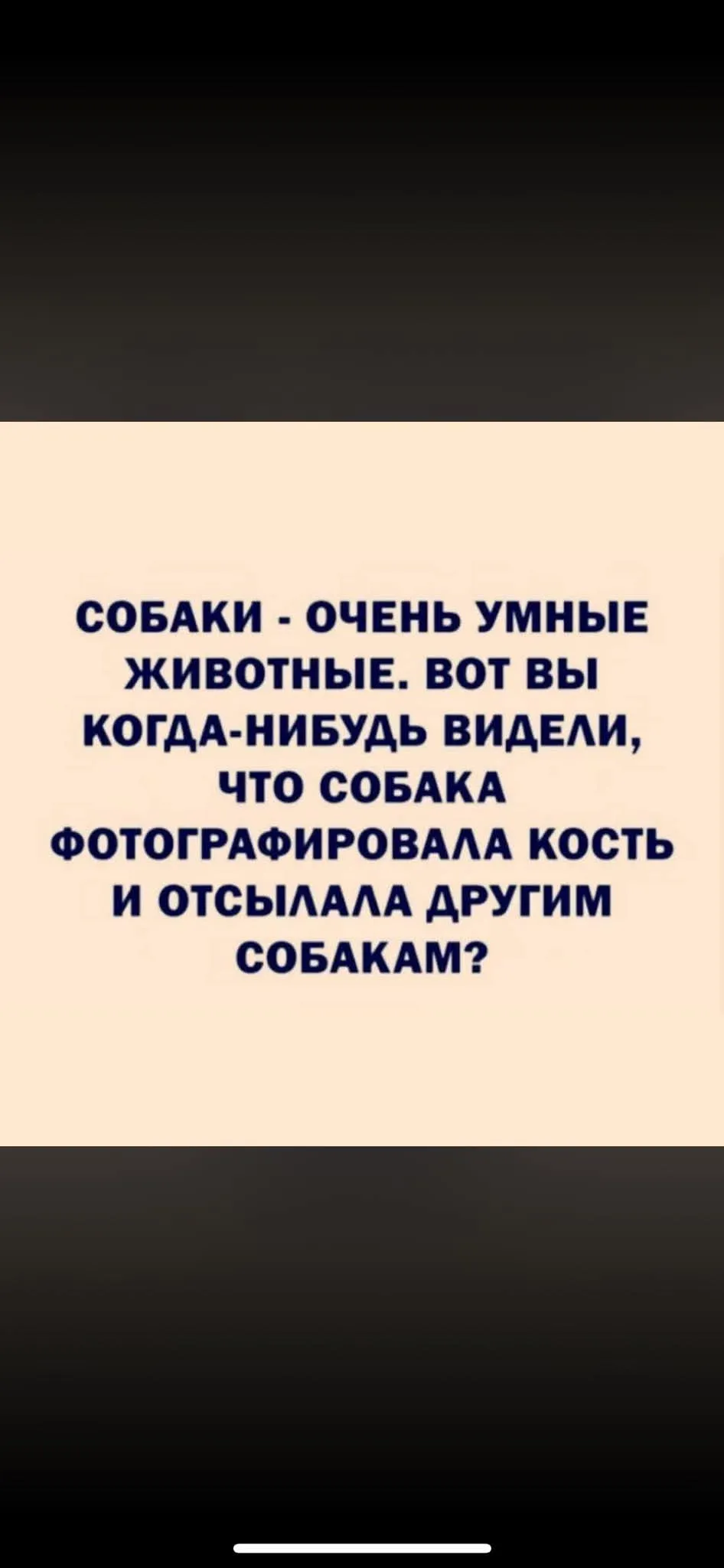 Без слов #2