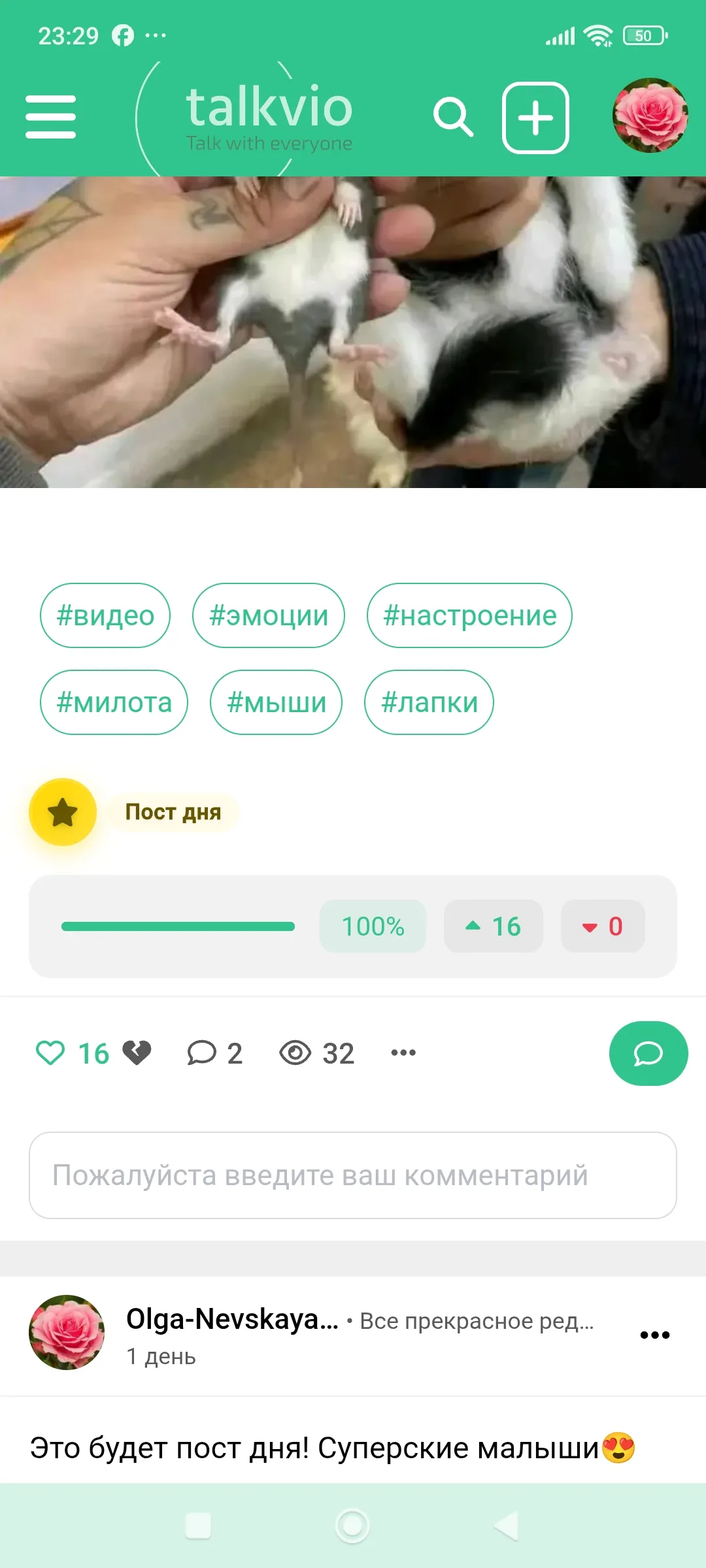 😉🥰🐭🐾👍 #2