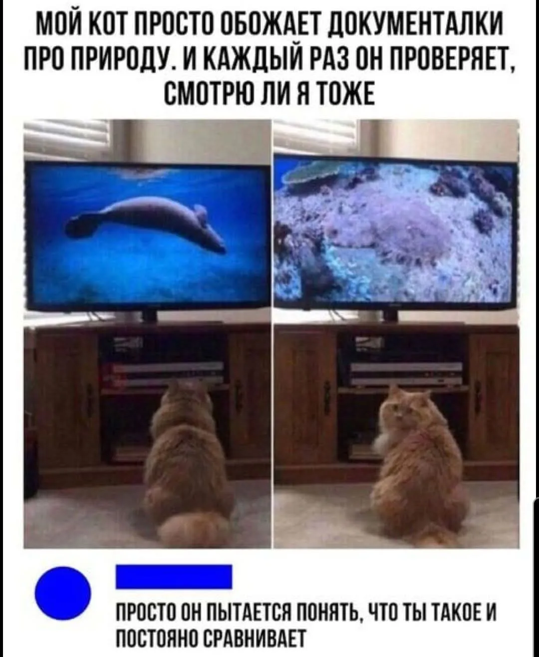 Юмор #2