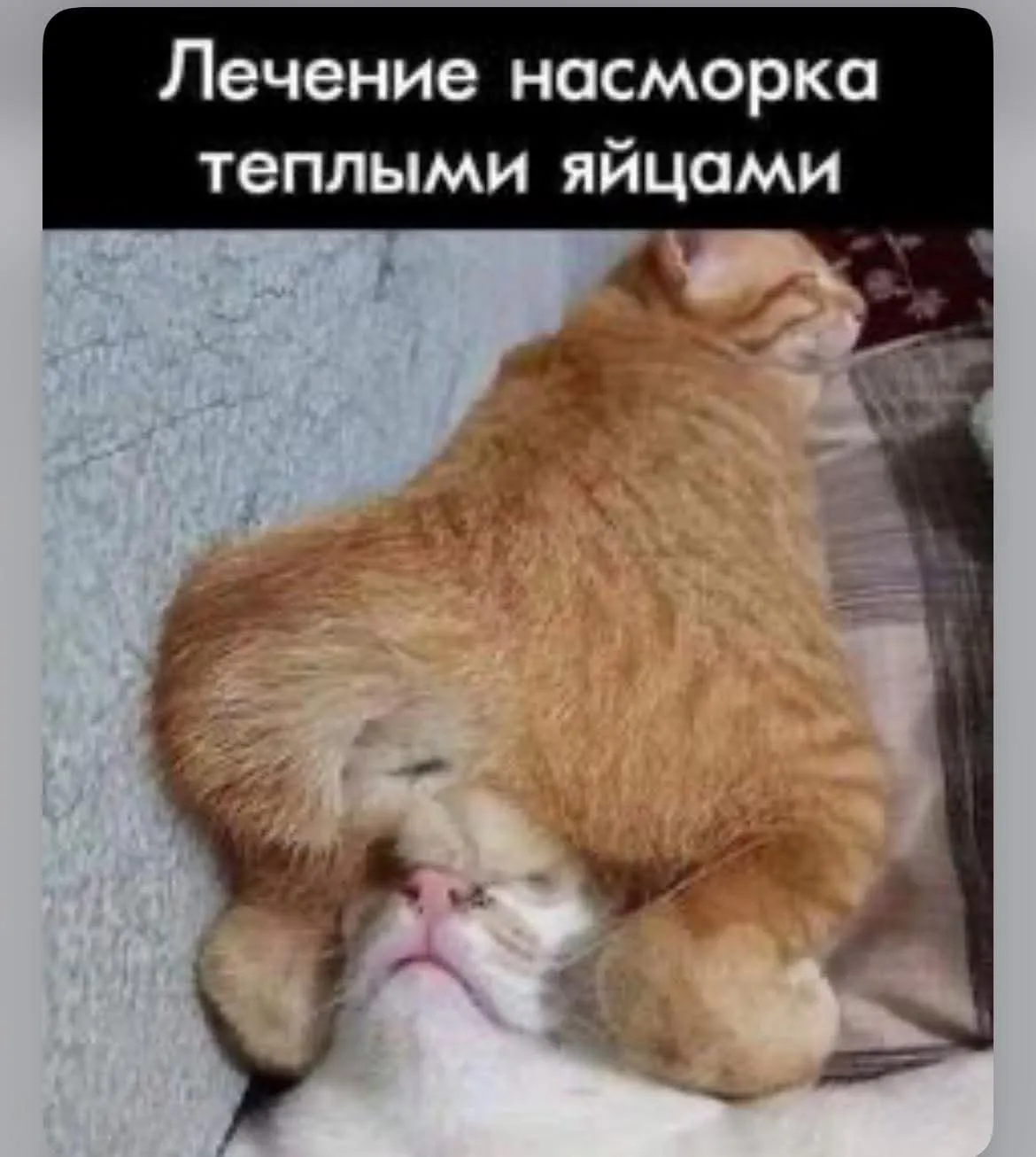 Рецепт лечения #2