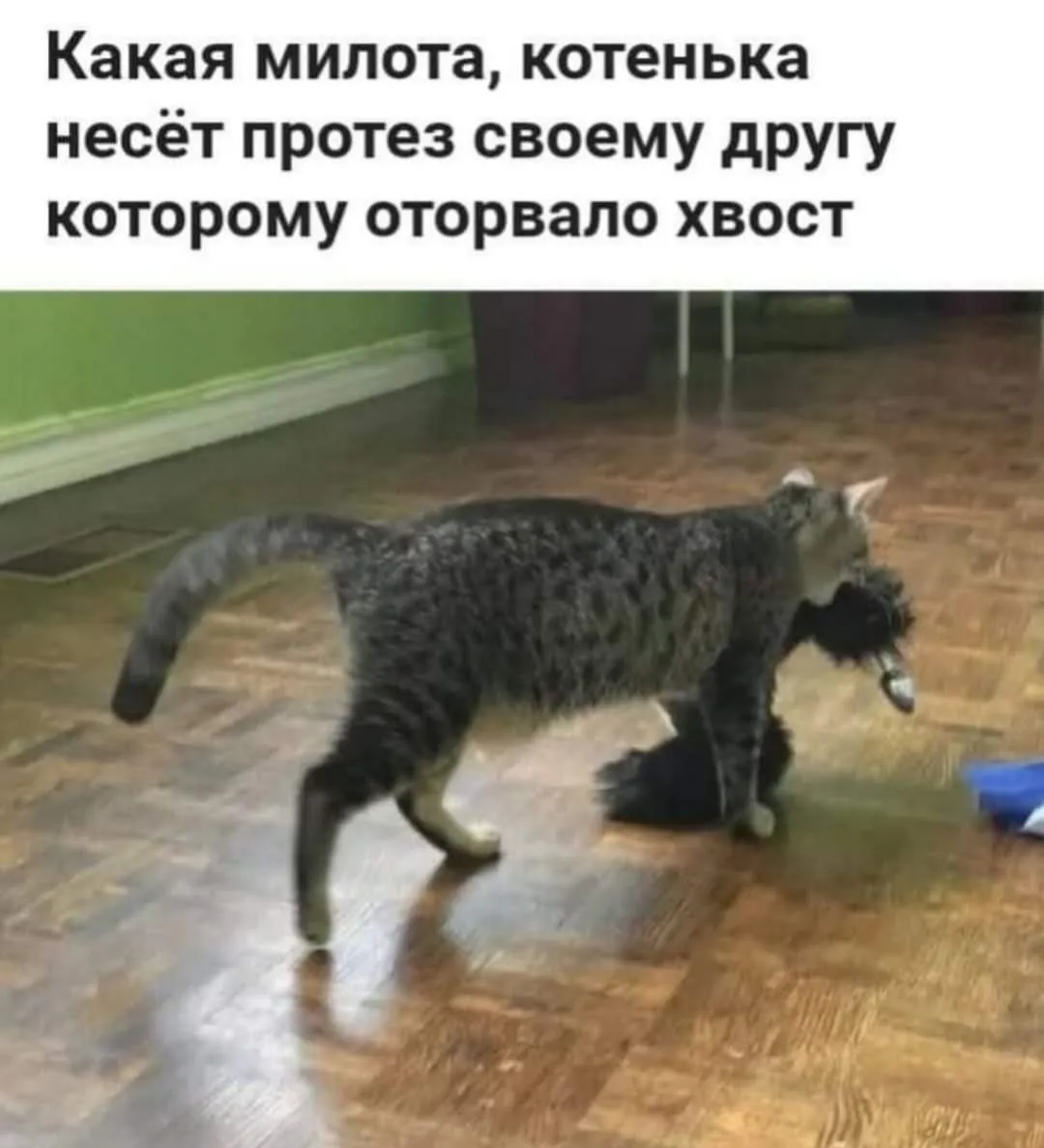 Взаимовыручка #2