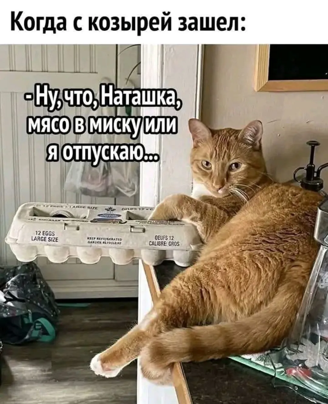 Про кота #3