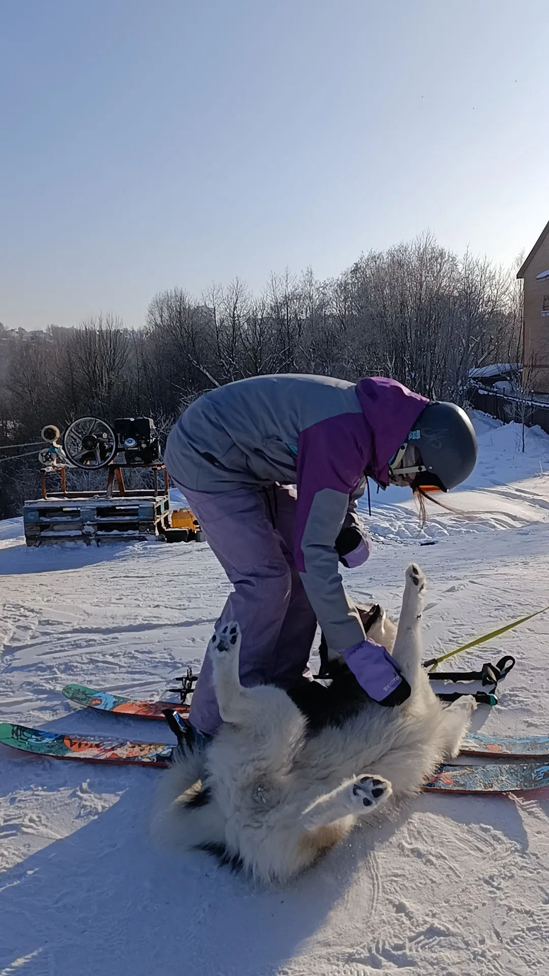Привет 👋 🐻 #2